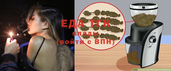 индика Михайловск