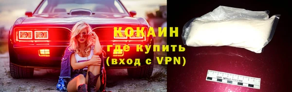 индика Михайловск