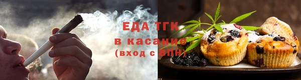 индика Михайловск