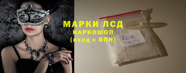 индика Михайловск