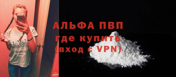 индика Михайловск