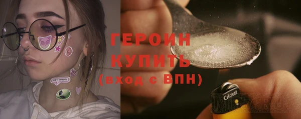 индика Михайловск