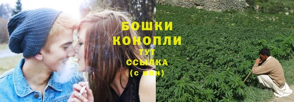 индика Михайловск