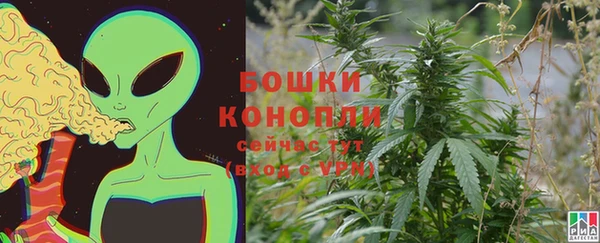 индика Михайловск