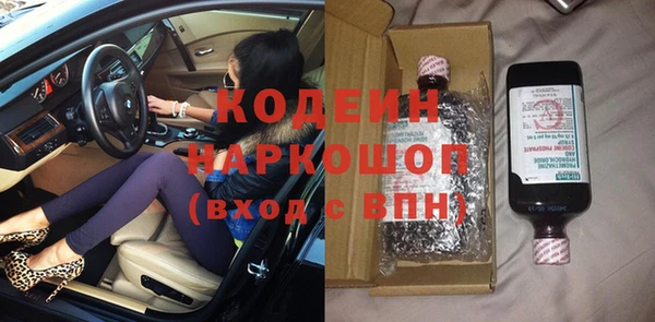 индика Михайловск