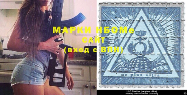 индика Михайловск
