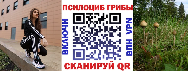 где найти   Донской  Галлюциногенные грибы Cubensis 