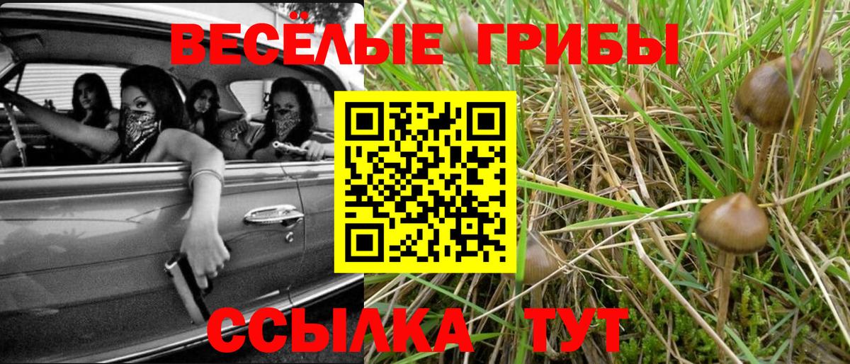 Псилоцибиновые грибы GOLDEN TEACHER Донской
