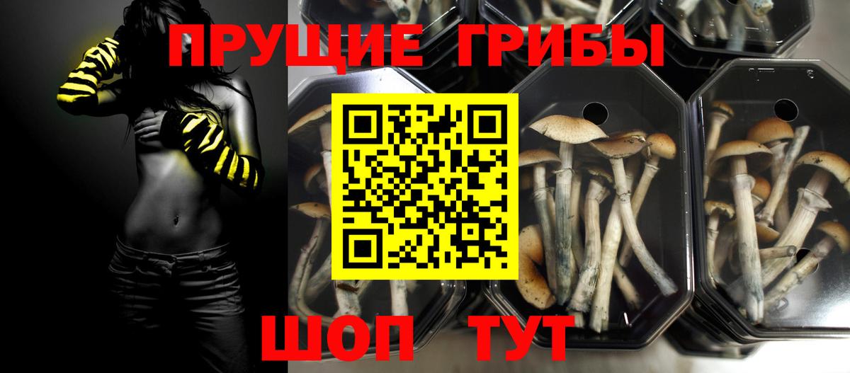 Псилоцибиновые грибы MAGIC MUSHROOMS Донской