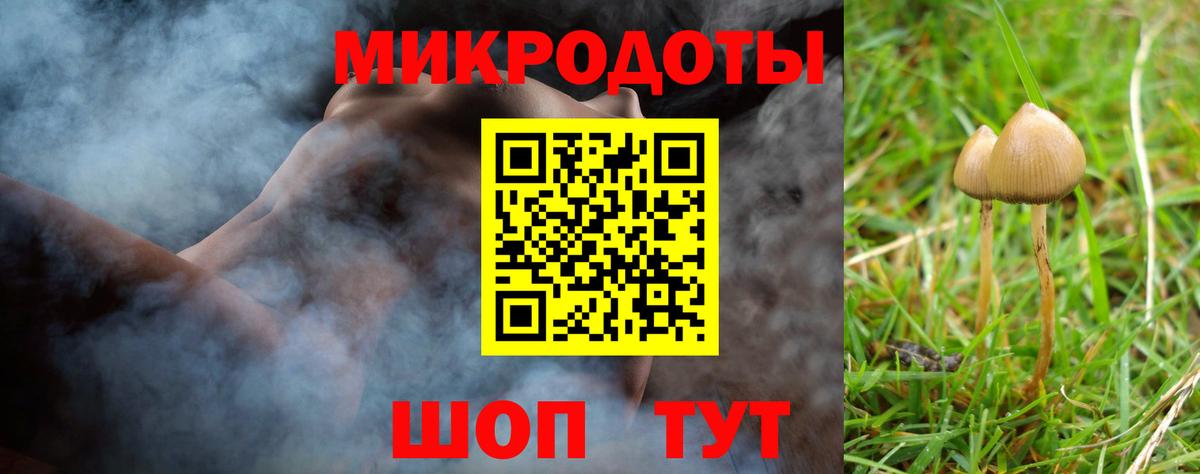 Галлюциногенные грибы Magic Shrooms  Галлюциногенные грибы Psilocybine cubensis  Донской 