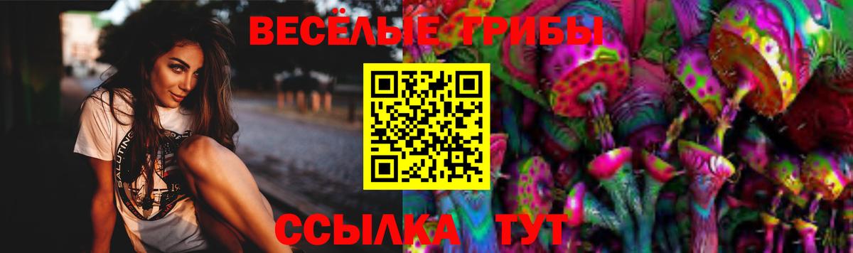 ГАШИШ Донской